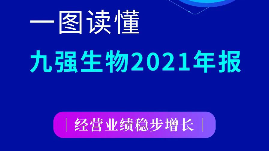 一图读懂南宫体育（中国）2021年报