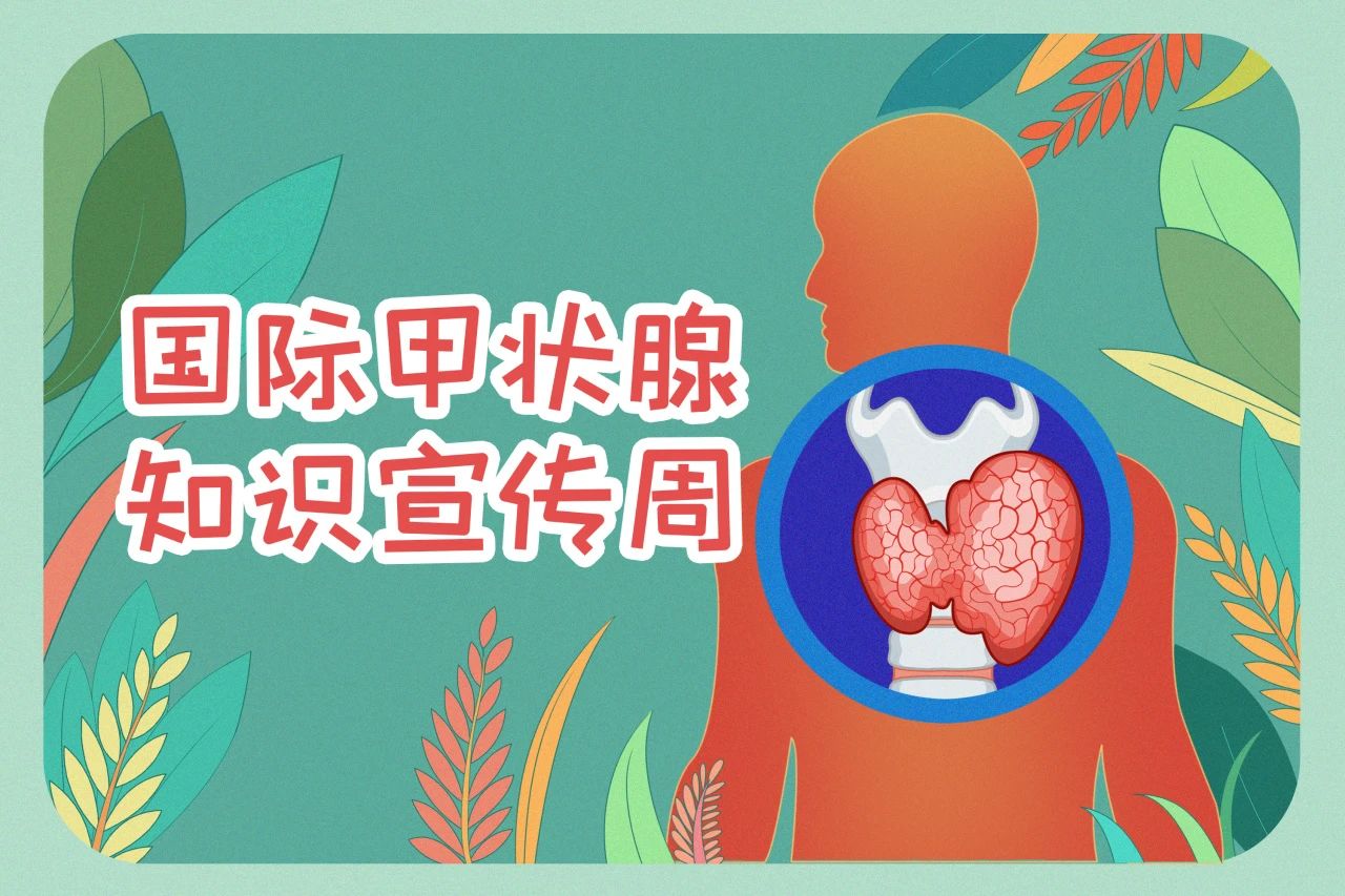 国际甲状腺知识宣传周  关注甲状腺健康，南宫体育（中国）在行动！